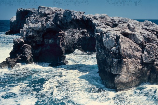 Nature, Italy, region of Puglia 1975 Isole Tremiti (Tremiti islands).