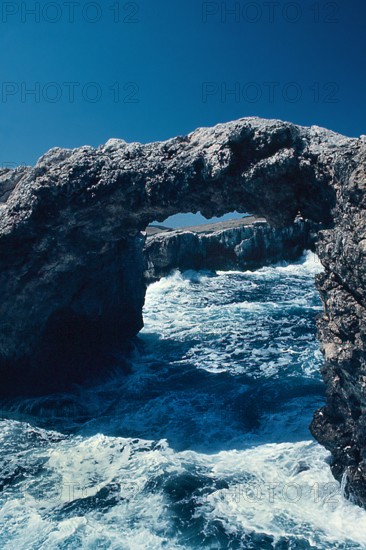 Nature, Italy, region of Puglia 1975 Isole Tremiti (Tremiti islands).