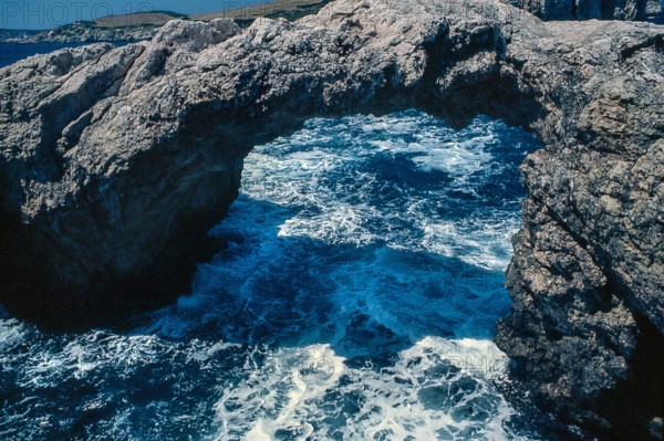 Nature, Italy, region of Puglia 1975 Isole Tremiti (Tremiti islands).