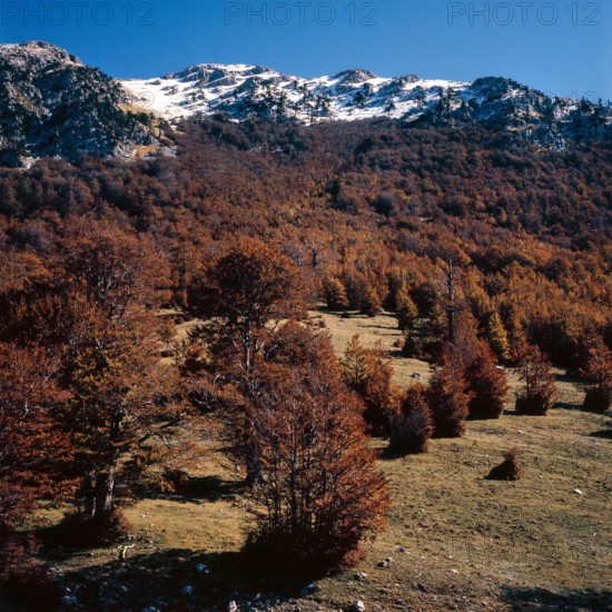 Nature, Italy, region of Calabria 1975 Comprensorio del Pollino - Monte Pollino (Pollino Mountain-Calabria National Park).