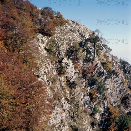 Nature, Italy, region of Calabria 1975 Comprensorio del Pollino - Monte Pollino (Pollino Mountain-Calabria National Park).
