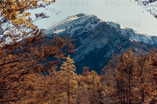 Nature, Italy, region of Calabria 1975 Comprensorio del Pollino - Monte Pollino (Pollino Mountain-Calabria National Park).