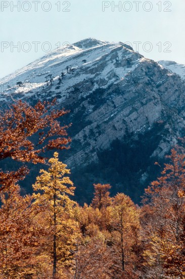 Nature, Italy, region of Calabria 1975 Comprensorio del Pollino - Monte Pollino (Pollino Mountain-Calabria National Park).