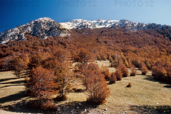 Nature, Italy, region of Calabria 1975 Comprensorio del Pollino - Monte Pollino (Pollino Mountain-Calabria National Park).