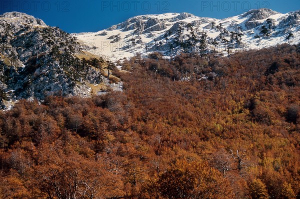 Nature, Italy, region of Calabria 1975 Comprensorio del Pollino - Monte Pollino (Pollino Mountain-Calabria National Park).