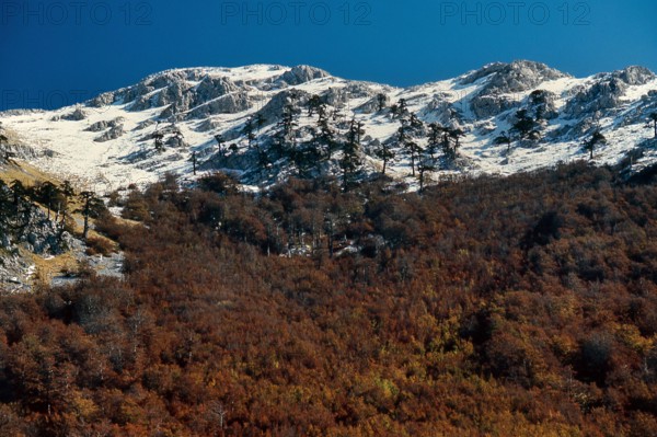 Nature, Italy, region of Calabria 1975 Comprensorio del Pollino - Monte Pollino (Pollino Mountain-Calabria National Park).