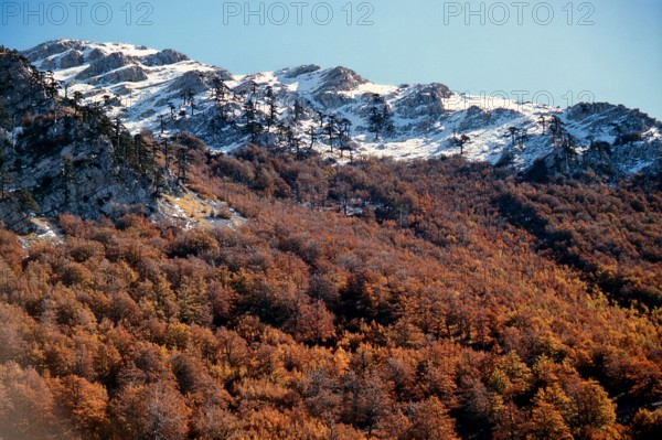 Nature, Italy, region of Calabria 1975 Comprensorio del Pollino - Monte Pollino (Pollino Mountain-Calabria National Park).