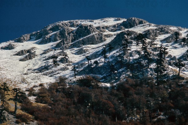 Nature, Italy, region of Calabria 1975 Comprensorio del Pollino - Monte Pollino (Pollino Mountain-Calabria National Park).