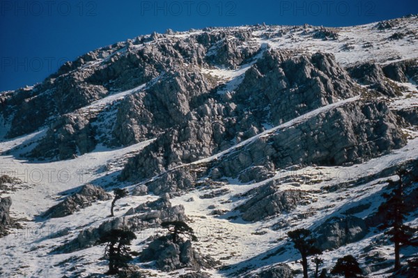 Nature, Italy, region of Calabria 1975 Comprensorio del Pollino - Monte Pollino (Pollino Mountain-Calabria National Park).