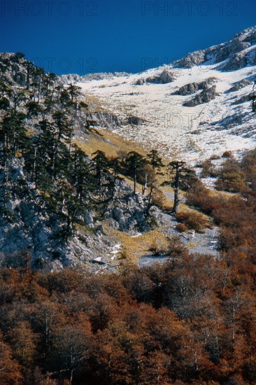 Nature, Italy, region of Calabria 1975 Comprensorio del Pollino - Monte Pollino (Pollino Mountain-Calabria National Park).