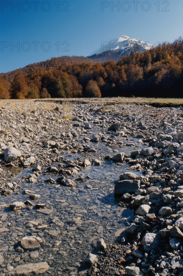 Nature, Italy, region of Calabria 1975 Comprensorio del Pollino - Monte Pollino (Pollino Mountain-Calabria National Park).
