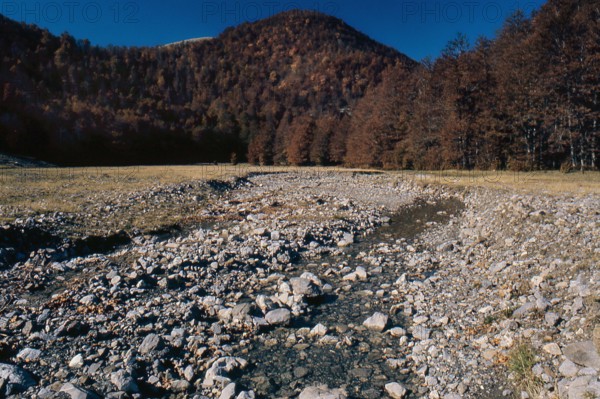 Nature, Italy, region of Calabria 1975 Comprensorio del Pollino - Monte Pollino (Pollino Mountain-Calabria National Park).