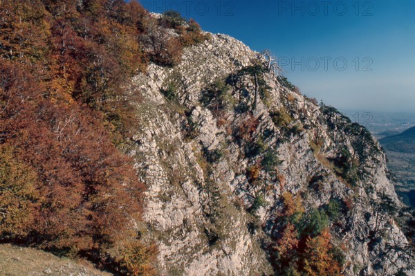 Nature, Italy, region of Calabria 1975 Comprensorio del Pollino - Monte Pollino (Pollino Mountain-Calabria National Park).