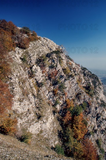 Nature, Italy, region of Calabria 1975 Comprensorio del Pollino - Monte Pollino (Pollino Mountain-Calabria National Park).