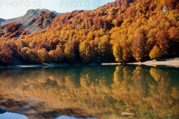 Nature, Italy, region of Calabria 1975 Comprensorio del Pollino - Monte Pollino (Pollino Mountain-Calabria National Park).
