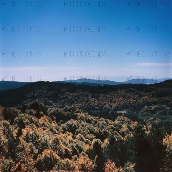 Nature, Italy, region of Calabria 1975 Sila Piccola (Little Sila).