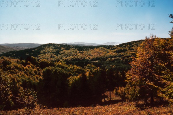 Nature, Italy, region of Calabria 1975 Sila Piccola (Little Sila).