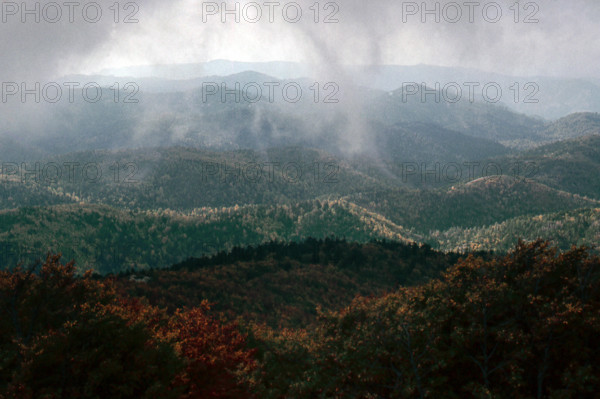 Nature, Italy, region of Calabria 1975 Sila Piccola (Little Sila).