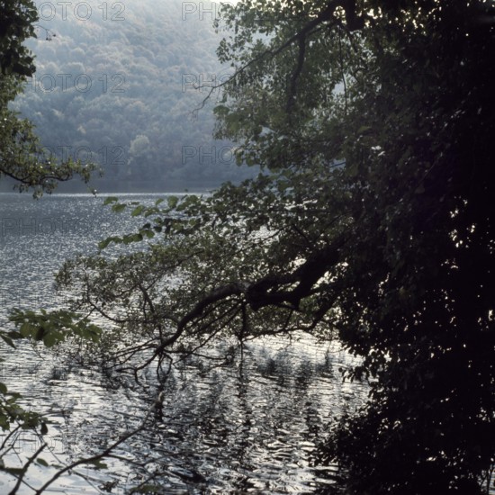 Nature, Italy, region of Calabria Serre Calabresi (Calabrese Greenhouses).