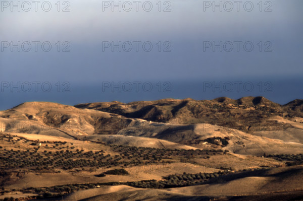 Nature, Italy, region of Calabria Marchesato Crotonese.