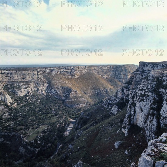 Nature, Italy, region of Sicilia Valle del Cassibile (Cassibile Valley).