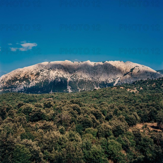 Nature, Italy, region of Sicilia 1975 Le Madonie (Tne Madonie).