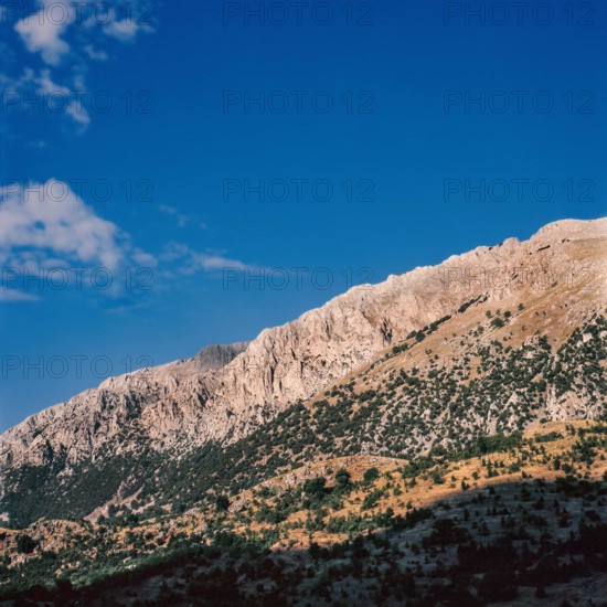 Nature, Italy, region of Sicilia 1975 Le Madonie (Tne Madonie).