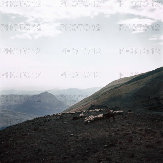 Nature, Italy, region of Sicilia 1975 Le Madonie (Tne Madonie).