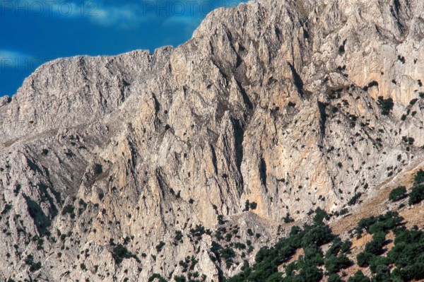 Nature, Italy, region of Sicilia 1975 Le Madonie (Tne Madonie).