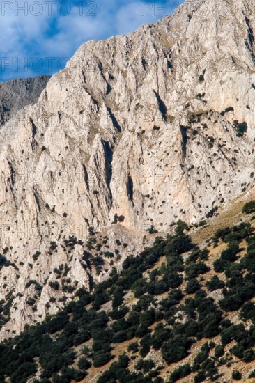 Nature, Italy, region of Sicilia 1975 Le Madonie (Tne Madonie).