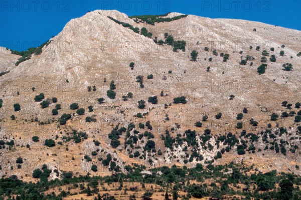 Nature, Italy, region of Sicilia 1975 Le Madonie (Tne Madonie).
