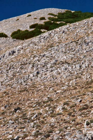 Nature, Italy, region of Sicilia 1975 Le Madonie (Tne Madonie).