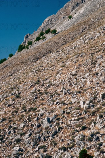 Nature, Italy, region of Sicilia 1975 Le Madonie (Tne Madonie).