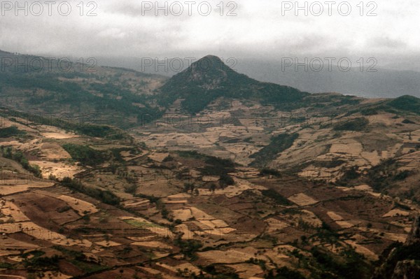 Nature, Italy, region of Sicilia 1975 Monti Nebrodi (Nebrodi Mountains).