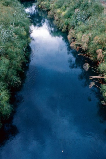 Nature, Italy, region of Sicilia 1975 Fonte Ciane (Ciane source).