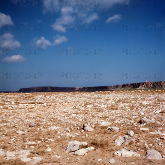 Nature, Italy, region of Sicilia 1975 Capo Sanvito (San Vito Cape).