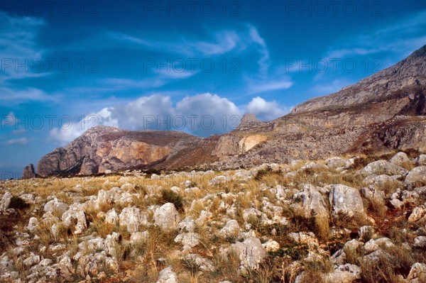 Nature, Italy, region of Sicilia 1975 Capo Sanvito (San Vito Cape).