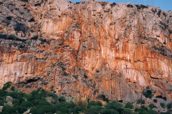 Nature, Italy, region of Sicilia 1975 Capo Sanvito (San Vito Cape).