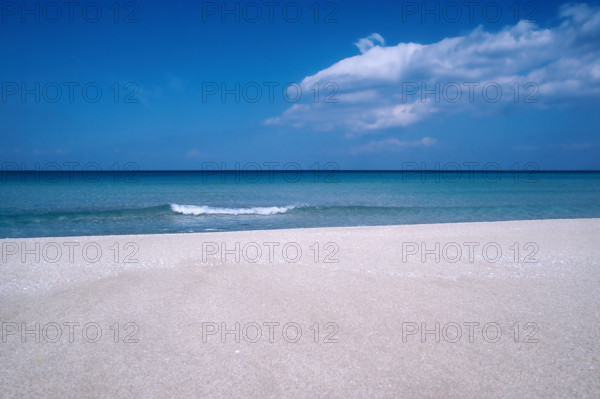 Nature, Italy, region of Sicilia 1975 Capo Sanvito (San Vito Cape).