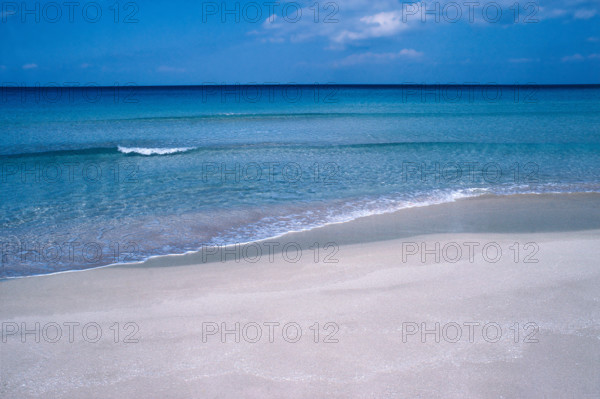 Nature, Italy, region of Sicilia 1975 Capo Sanvito (San Vito Cape).