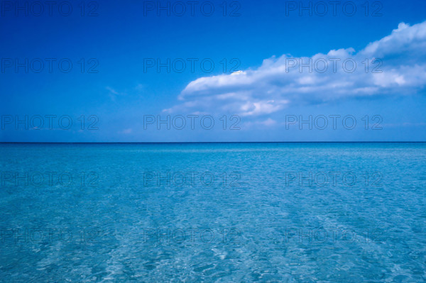 Nature, Italy, region of Sicilia 1975 Capo Sanvito (San Vito Cape).