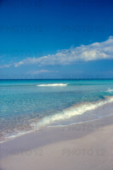 Nature, Italy, region of Sicilia 1975 Capo Sanvito (San Vito Cape).