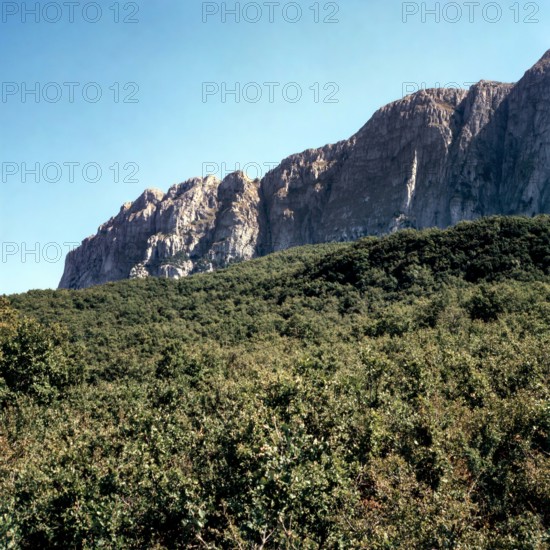 Nature, Italy, region of Sicilia 1975 Rocca Busambra - Bosco della Ficuzza (Busambra Rock - Ficuzza Forest).