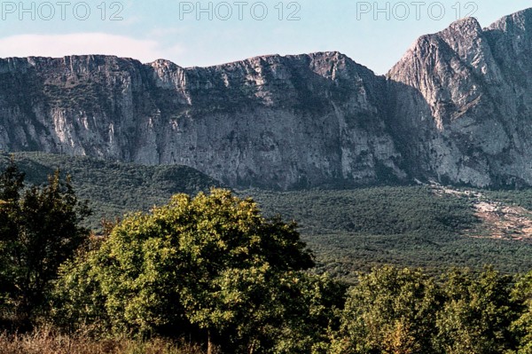 Nature, Italy, region of Sicilia 1975 Rocca Busambra - Bosco della Ficuzza (Busambra Rock - Ficuzza Forest).