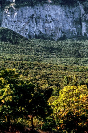 Nature, Italy, region of Sicilia 1975 Rocca Busambra - Bosco della Ficuzza (Busambra Rock - Ficuzza Forest).