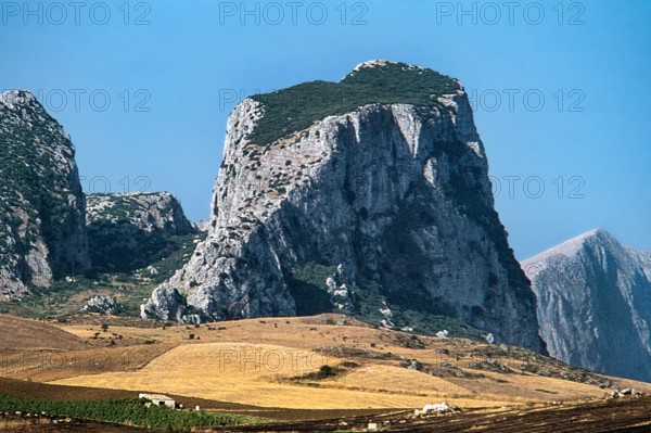 Nature, Italy, region of Sicilia 1975 Rocca Busambra - Bosco della Ficuzza (Busambra Rock - Ficuzza Forest).