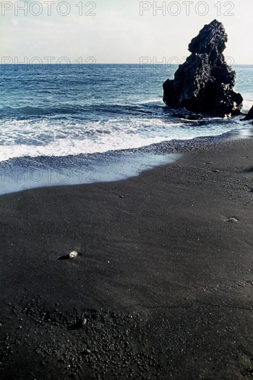 Nature, Italy, region of Sicilia 1975 Isole Eolie, Isola di Stromboli (Aeolian Islands, Stromboli  Island).