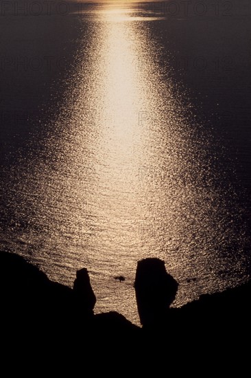 Nature, Italy, region of Sicilia 1975 Isole Eolie, Lipari Quattrocchi  (Aeolian Islands, Lipari  Island, Quattrocchi).