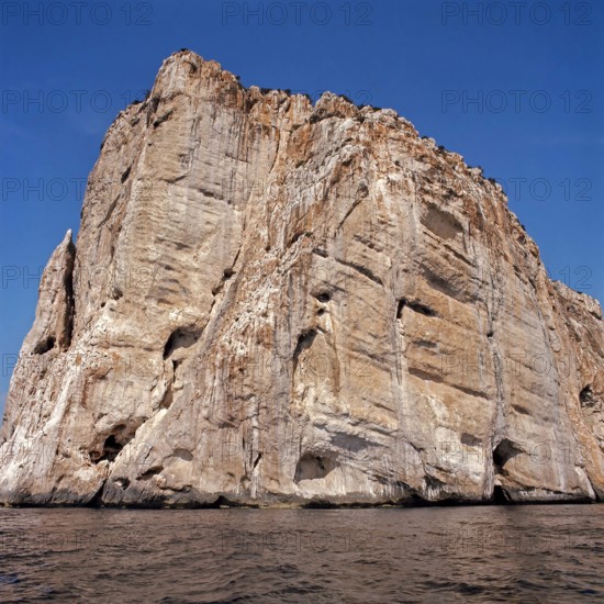 Nature, Italy, region of Sicilia 1975 Isole Egadi, Isola di Marettimo (Egadi Islands,  Marettimo Island).