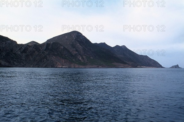 Nature, Italy, region of Sicilia 1975 Isole Egadi, Isola di Marettimo (Egadi Islands,  Marettimo Island).